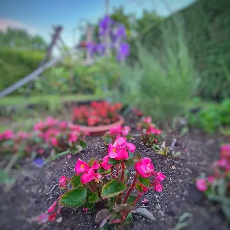 Agas Vendeghaz Vendégház Csopak