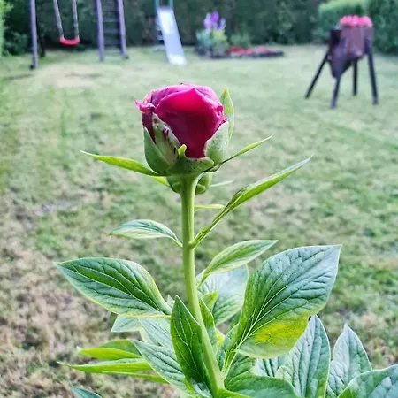 Gæstehus Agas Vendeghaz 3*