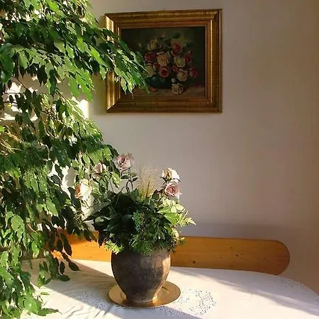 Agas Vendeghaz Csopak